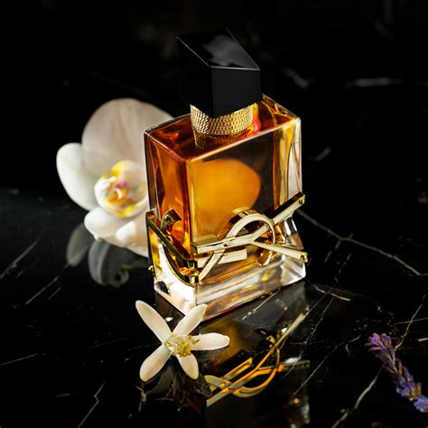 perfumes similar to ysl libre intense|libre perfume price comparison.